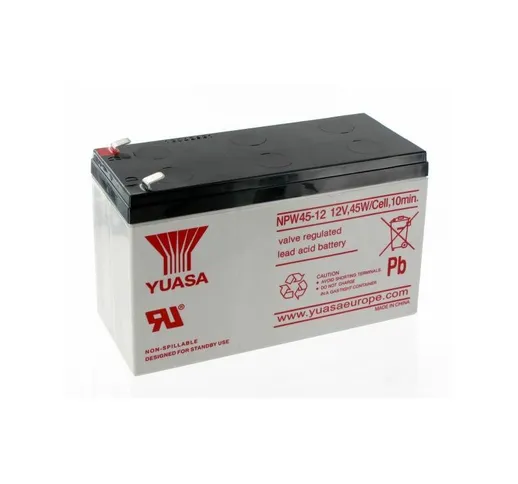 Ups speciale di batteria piombo 12V 45W NPW45-12 - Yuasa