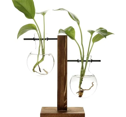 Bearsu - Vasi idroponici vintage, vaso trasparente, cornice in legno e vetro per piante da...
