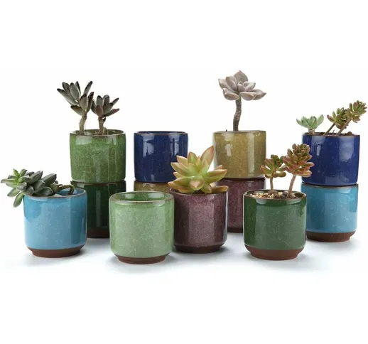 Vasi succulenti in ceramica da 6,5 ??cm Serie Crackle Pianta grassa Cactus Vaso da fiori F...
