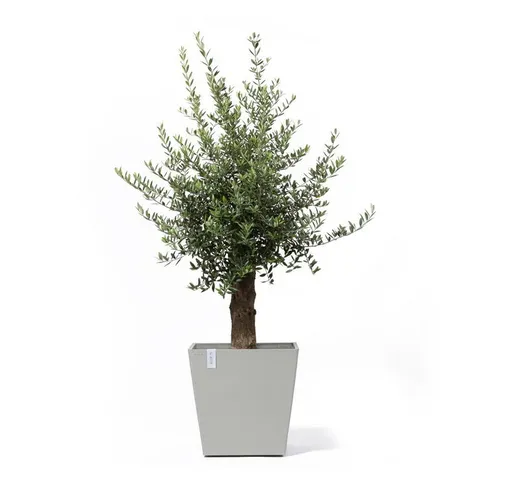 Ecopots - Vaso grande su ruote Rotterdam 50 Bianco Grigio - 50 x 50 x h. 49,2 cm - 76,3 l