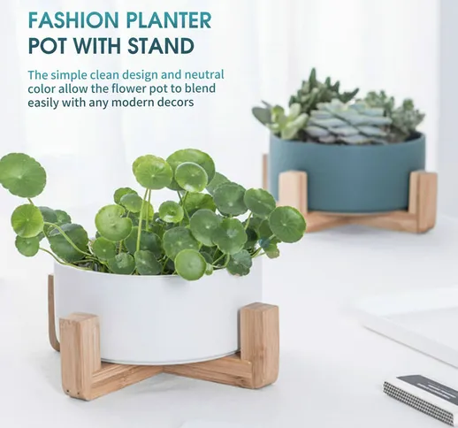 Tancyco - Vaso per piante grasse con supporto Vaso per piante idroponica con gambe Verdure...