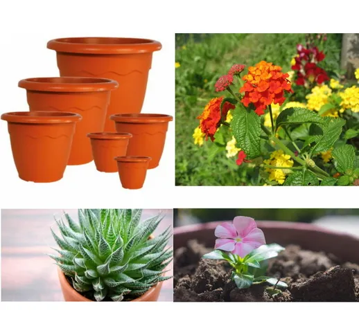 Vaso tondo vulcano fiori piante giardinaggio fioriere vasi plastica varie misure diametro:...