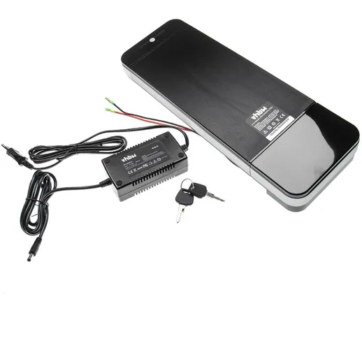 batteria per portapacchi (8,8Ah, 48V, Li-Ion) incl. caricatore + attacco USB compatibile c...