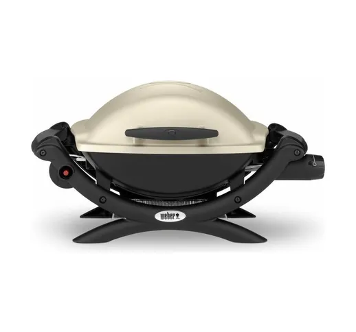  - Q1000 Barbecue a Gas 43 x 32 cm Titanium (50060053)