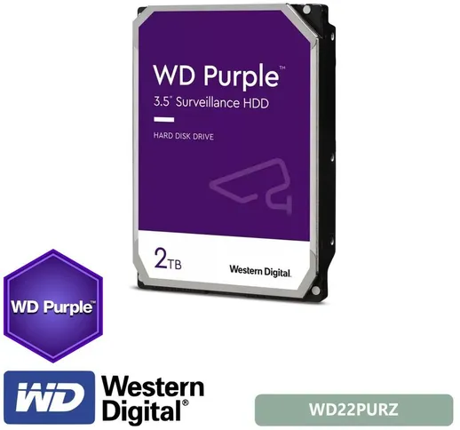  - Purple Hdd 2Tb 3.5 Specifico per videosorveglianza WD22PURZ