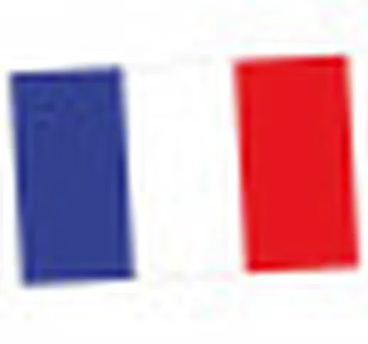 Bandiera tifosi Francia 150 x 90 cm