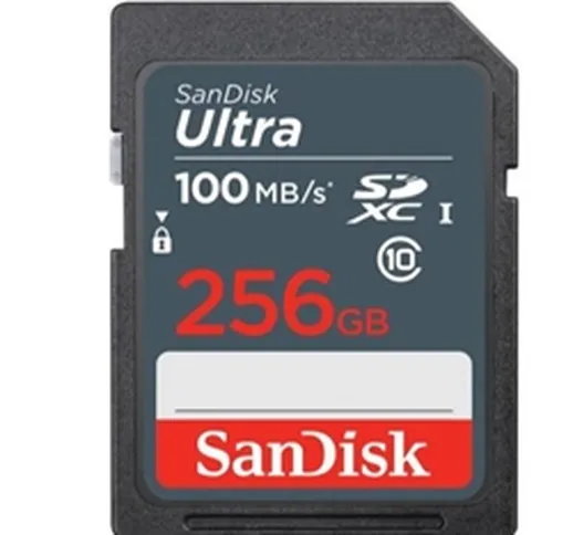 Scheda di memoria  Micro SD XC 256 GB