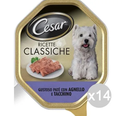 "Set 14 CESAR Ricetta Classica Vaschetta Agnello Tacchin 150Gr Articolo Per Cani"