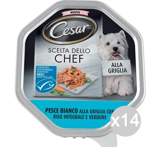 "Set 14 CESAR Scelte Chef Vaschetta Pesce Riso Verd 150Gr Articolo Per Cani"