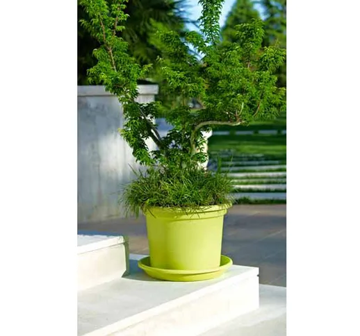EURO 3 PLAST Vaso 'geo' cm25 verde Giardino Arredo da esterno