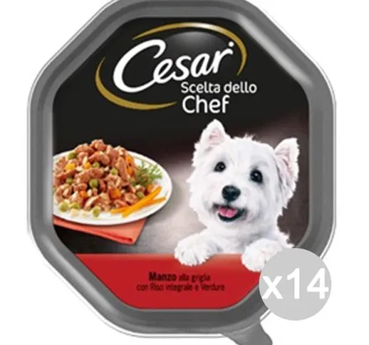 Set 14 CESAR Scelte Chef Vaschetta Manzo Riso Verd 150Gr Articolo Per Cani