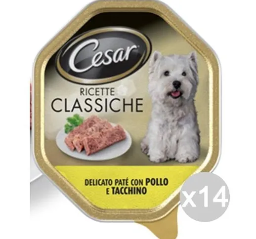 Set 14 CESAR Ricetta Classica Vaschetta Pollo Tacchino 150Gr Articolo Per Cani