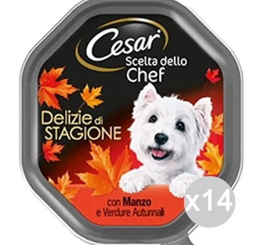 Set 14 CESAR Scelte Chef Vaschetta Manzo Verd Autu 150Gr Articolo Per Cani