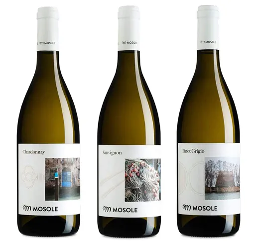 3 bottiglie miste: Chardonnay DOC Venezia 2020 - Sauvignon IGT 2020 - Pinot Grigio DOC Ven...