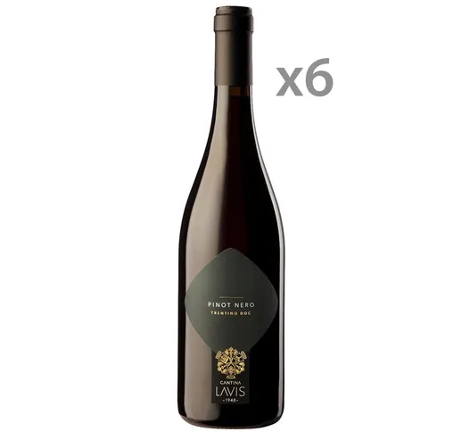 6 bottiglie - Pinot nero Trentino DOC 2020