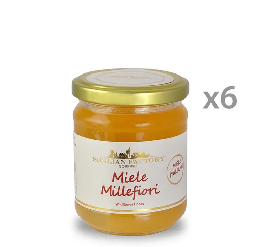 6 vasetti - Miele Millefiori 250 gr