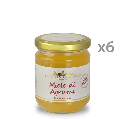 6 vasetti - Miele di Agrumi 250 gr