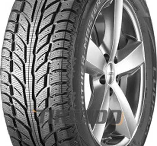  Weather-Master WSC ( 205/70 R15 96T, )