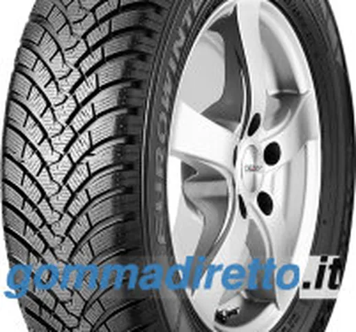  EUROWINTER HS01 RUNFLAT ( 205/55 R17 91H, runflat )