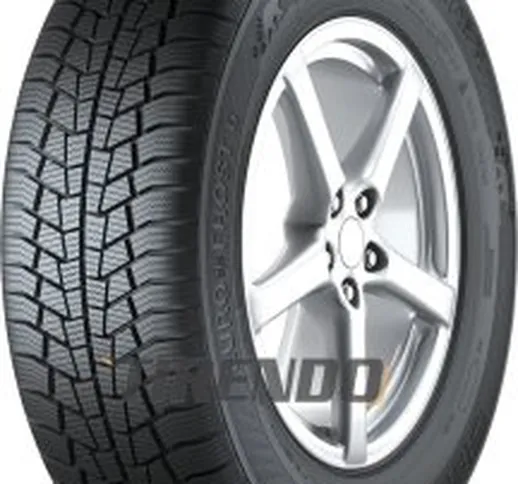  Euro*Frost 6 ( 205/55 R16 91T )