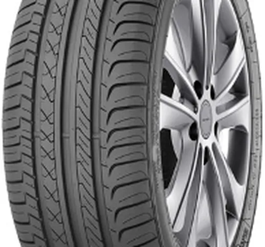  Champiro FE1 ( 205/55 R16 91H )