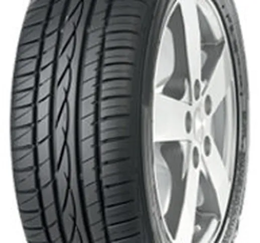  BC100 ( 205 R17 95V XL )