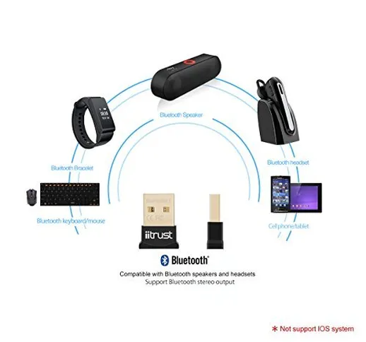 iitrust Adattatore USB Bluetooth CSR4.0, dongle Adattatore USB Bluetooth/Mini Chiave USB B...