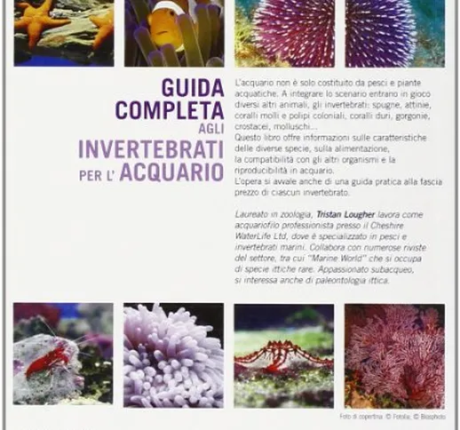 Guida completa agli invertebrati per l'acquario