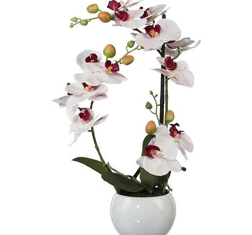 Orchidea phalaenopsis, altezza 420 mm, in vaso di ceramica, fiori rosa, stampa in 3D