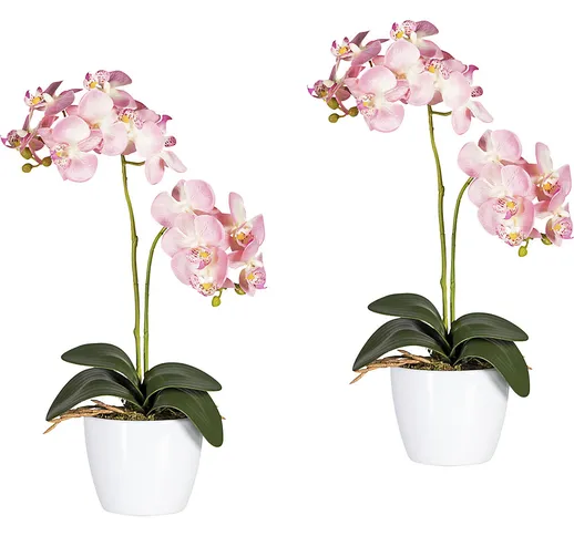 Orchidea phalaenopsis in vaso di ceramica bianco, altezza 500 mm, conf. da 2 pz., fiori ro...
