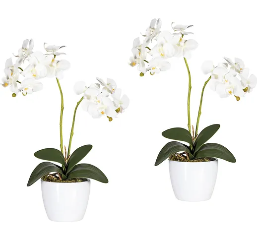 Orchidea phalaenopsis in vaso di ceramica bianco, altezza 500 mm, conf. da 2 pz., fiori bi...
