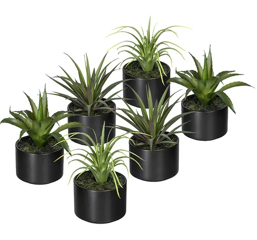 Aloe, agave, tillandsia, in vaso di ceramica, conf. da 6 pz., altezza 250 mm, 3 assortimen...
