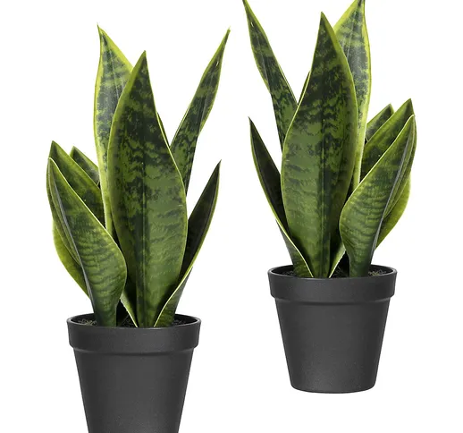 Sansevieria, in vaso di plastica, set da 2 piante, altezza 330 mm, verde