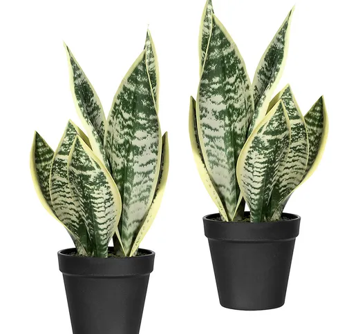 Sansevieria, in vaso di plastica, set da 2 piante, altezza 330 mm, verde bianco