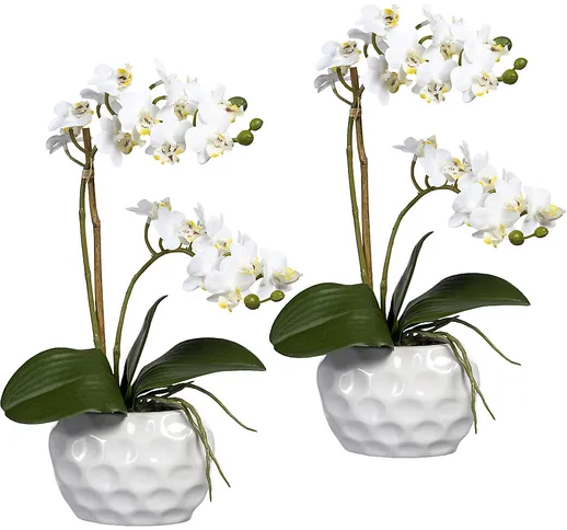 Mini orchidea phalaenopsis, in vaso di ceramica, conf. da 2 pz., bianco