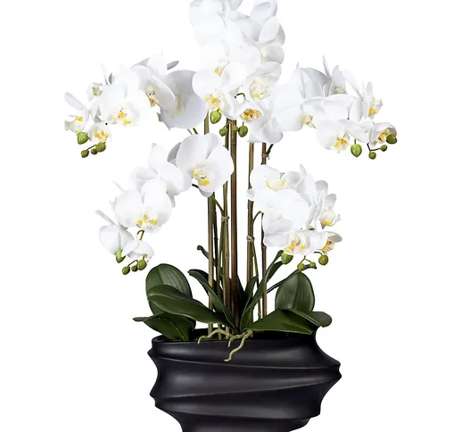 Orchidea phalaenopsis, real touch, altezza 750 mm, bianco, vaso di plastica nero