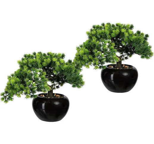 Larice bonsai, Ø contenitore 150 mm, conf. da 2 pz., altezza 260 mm