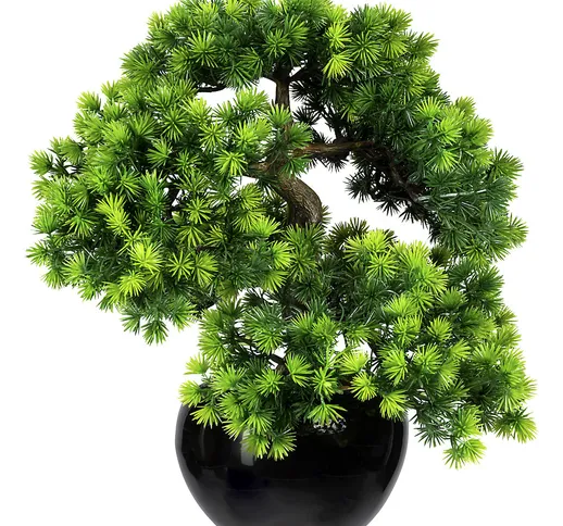 Larice bonsai, con ghiaia, in vaso di ceramica, nero, altezza 370 mm, vaso 150 x 90 mm