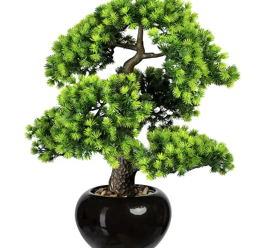 Larice bonsai, con ghiaia, in vaso di ceramica, nero, altezza 480 mm, vaso 180 x 110 mm