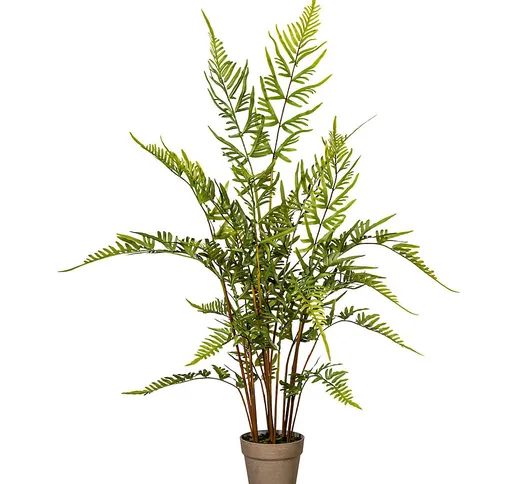 Felce, altezza 1100 mm, vaso in plastica con terra, foglie verdi