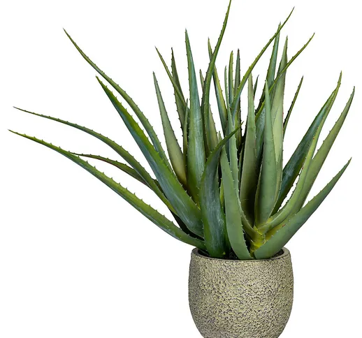 Aloe, in vaso di cemento con terra, altezza ca. 480 mm, vaso Ø 145 mm