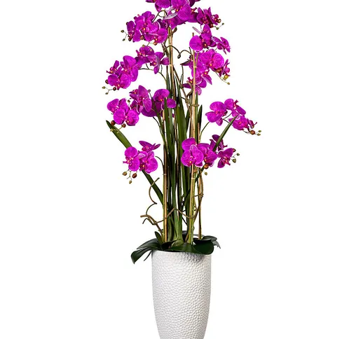 Composizione di orchidee phalaenopsis, in vaso di ceramica, altezza ca. 1600 mm, fiori vio...