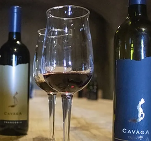 Visita alle cantine Cavaga con degustazione vini, salumi e formaggi e bottiglie in casse p...