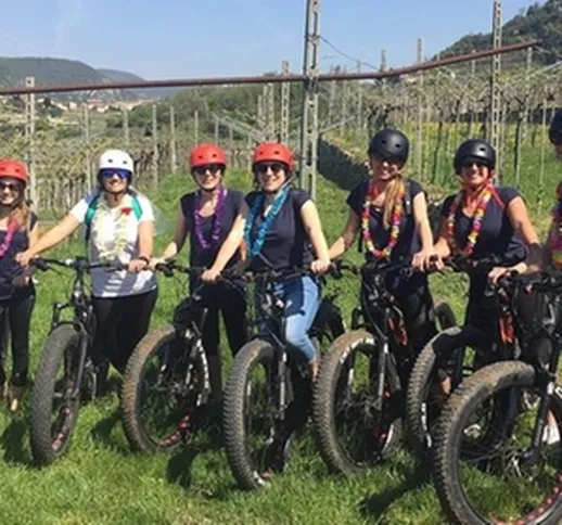 Stazione delle Bici Valpolicella: E-Bike Tour con Degustazione Vini