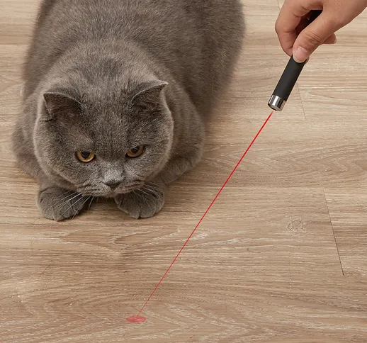 1 pezzo ginnico laser per gatti senza batteria