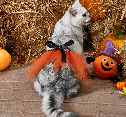 Vestito per animali domestici Halloween con grafica lettera