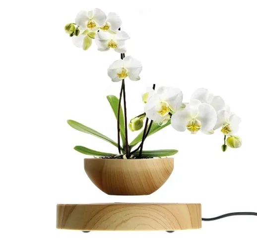 Vaso per bonsai ad aria con vaso da fiori a levitazione magnetica
