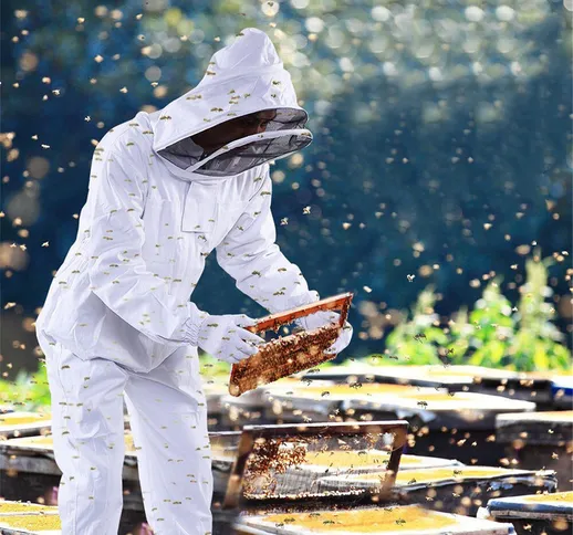 Abbigliamento professionale per apicoltura a corpo intero in cotone Strumenti Set con capp...