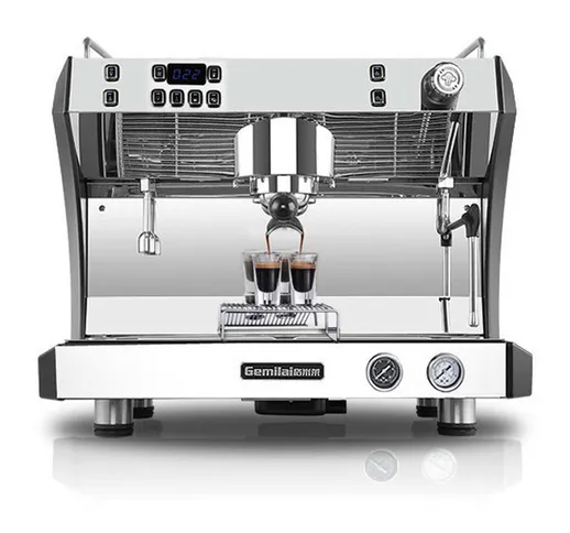 GeMiLai CRM3100D 3200W Macchina da caffè semiautomatica italiana 9 bar di pressione in acc...