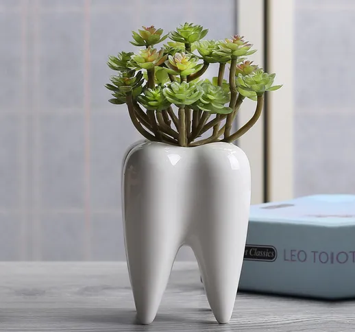 7x10cm Forma del dente Vaso di fiori Conservazione delle piante succulente Giardinaggio in...